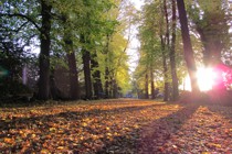 Den letzten Weg zusammen gehen Den letzten Weg zusammen gehen